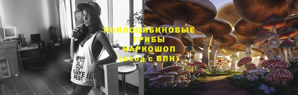 гашик Елизово