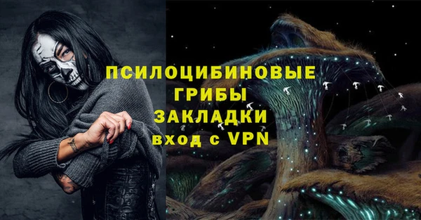 бошки Елабуга