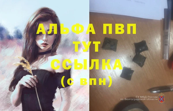 прущая мука Ельня