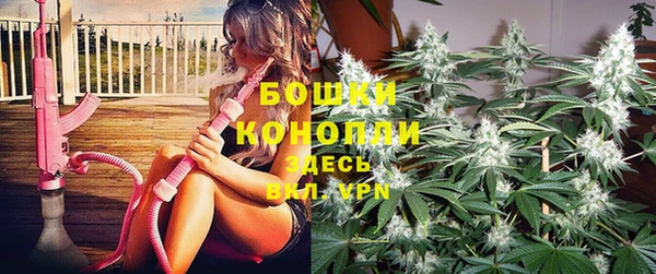гашик Елизово
