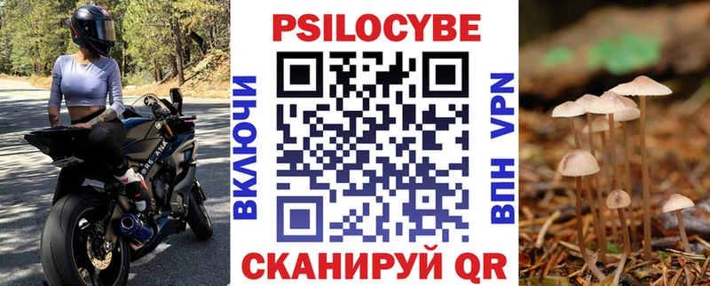 Купить закладки  Приморск  Галлюциногенные грибы прущие грибы 