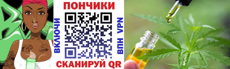 Купить закладки  Приморск  Канабис конопля 